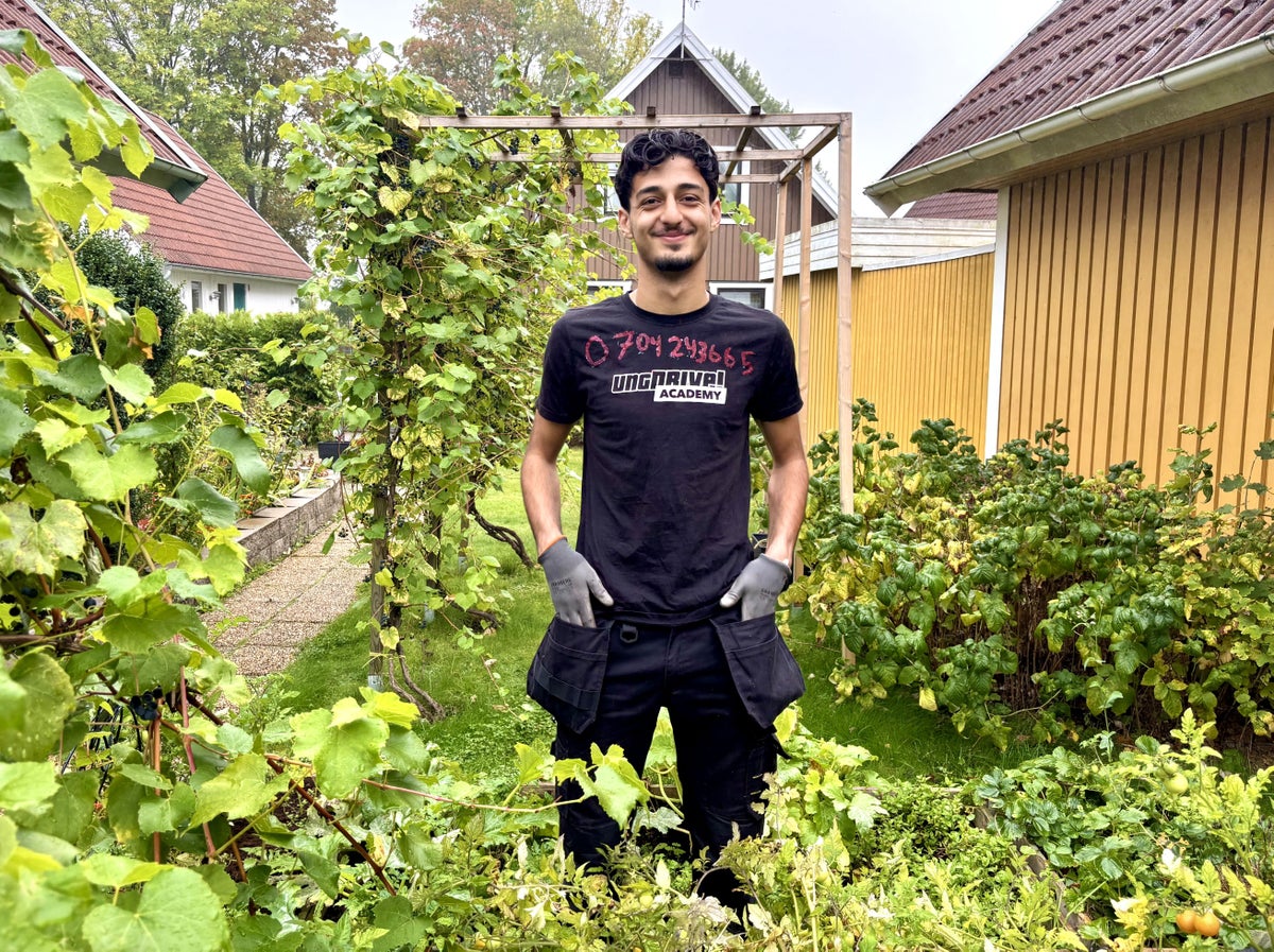 Jan Mohamed i UngDrive Academy-tröja och arbetshandskar bland vinrankor och grönsaksland